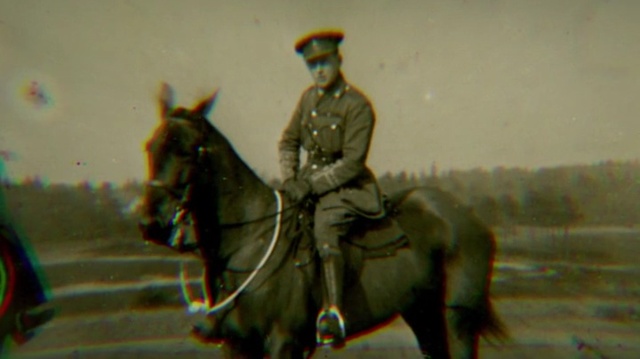 Video Reference: Halter, Bridle, Horse, Rein, Horse tack, Horse harness, Horse supplies, Pack animal, Saddle, Western riding, Person