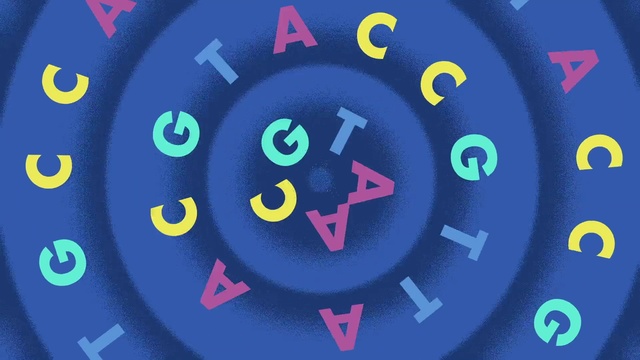 Video Reference: Circle, Font, Number, Icon, Symbol, Clock, Colorfulness