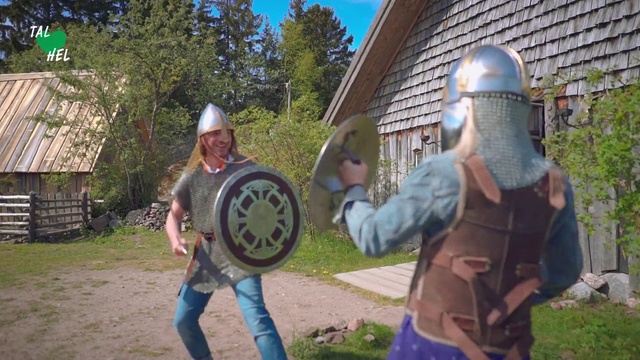 Video Reference: Knight, Battle gaming, Viking, Tree, Middle ages, Armour, Davul, Shield, History