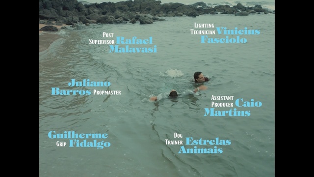 Video Reference: Swimming, Ocean, Recreation, Open water swimming, Sea, Wave, Coast