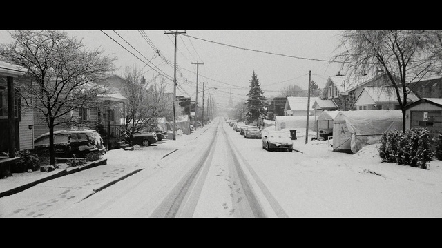 Video Reference: snow, winter, urban area, white, black, road, residential area, lane, black and white, tree
