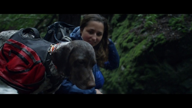 Video Reference: mammal, vertebrate, adventure, screenshot, snout, dog like mammal, jungle, forest, fun, darkness, Person