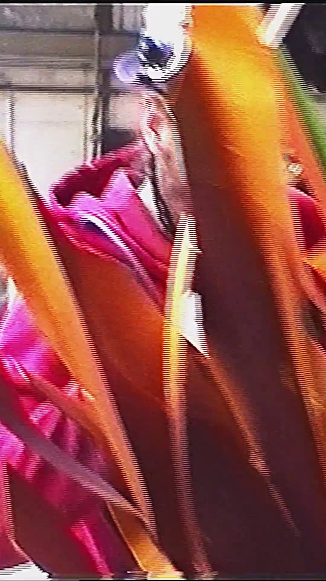 Video Reference: Textile, Flower, Plant, Macro photography, Art