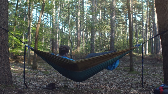 Video Reference: hammock, tree, woodland, jungle, forest