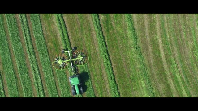 Video Reference: green, nature, ecosystem, grass, field, grass family, grassland, leaf, flora, agriculture