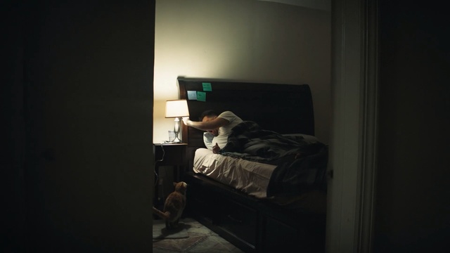 Video Reference: Room, Light, Furniture, Bed, Sky, Bedroom, House, Darkness, Night, Photography, Indoor, Sitting, Small, Open, Green, Cat, Black, White, Dark, Man, Television, Computer, Sleeping, Laying, Wall, Laptop, Couch, Desk, Person, Computer monitor