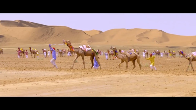 Video Reference: camel, erg, desert, arabian camel, sahara, ecosystem, camel like mammal, sand, aeolian landform, ecoregion, Person