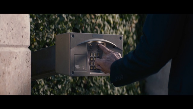 Video Reference: Tree, Wall, Photography, Font, Plant, Automotive exterior, Vehicle registration plate