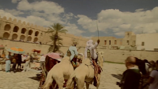 Video Reference: Adaptation, Tourism, Ancient history, Pack animal, Camelid