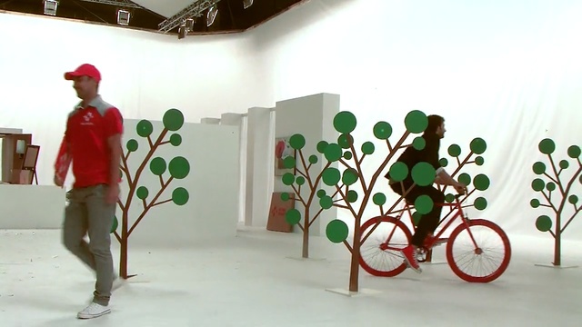 Video Reference: art, flower, plant, design, exhibition, Person