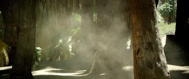 Video Reference: Light, Atmospheric phenomenon, Tree, Sunlight, Water, Forest, Woodland, Plant