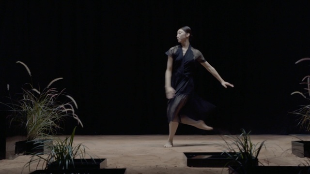 Video Reference: performing arts, performance, dancer, entertainment, theatre, performance art, modern dance, choreography, concert dance, stage, Person