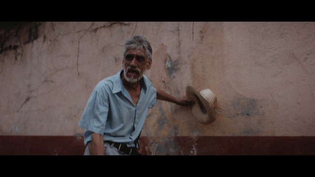 Video Reference: human, screenshot, Person