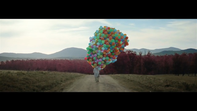 Video Reference: sky, ecosystem, biome, cloud, landscape, hill, tree, computer wallpaper, Person