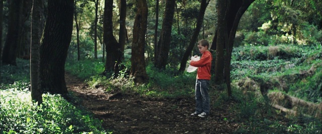 Video Reference: Woodland, People in nature, Forest, Natural landscape, Nature, Natural environment, Jungle, Tree, Nature reserve, Old-growth forest