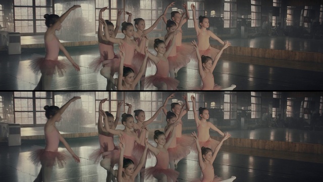 Video Reference: Dancer, Ballet, Dance, Choreography, Performance art, Performing arts, Fun, Pointe shoe, Event, Photography