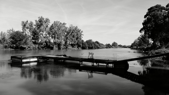 Video Reference: reflection, water, waterway, nature, black and white, body of water, sky, river, monochrome photography, tree