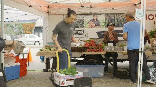 Video Reference: Local food, Marketplace, Houseplant, Market, Selling, Plant, Whole food, Vegetable, City, Person