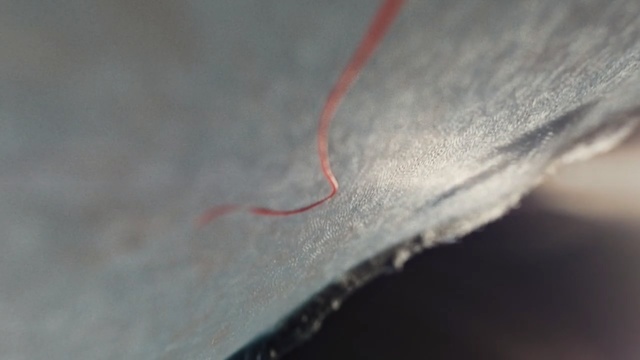 Video Reference: close up, macro photography