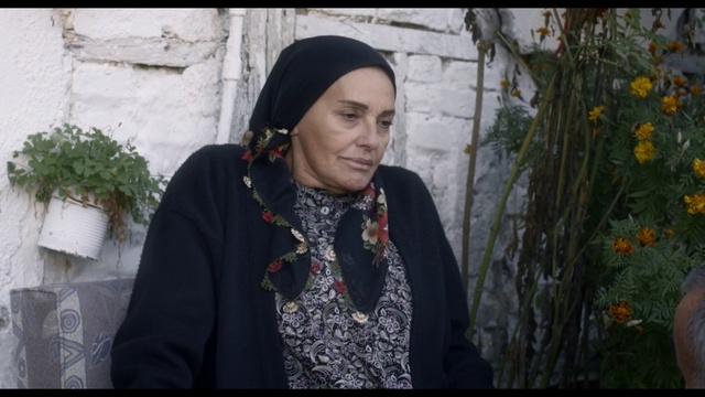 Video Reference: Floral design, Smile, Headgear, Portrait, Adaptation, Fashion accessory, Temple, Tradition, Plant, Flower Arranging