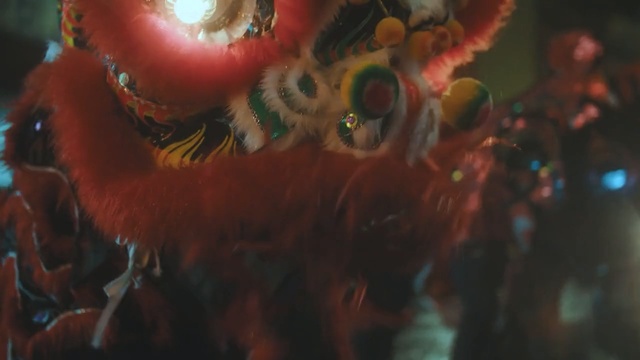 Video Reference: underwater, carnival, organism, marine biology, festival, computer wallpaper, coral reef, event, coral reef fish, fête