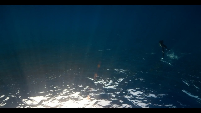 Video Reference: water, sea, underwater, ocean, atmosphere, sky, geological phenomenon, screenshot, sunlight, marine biology