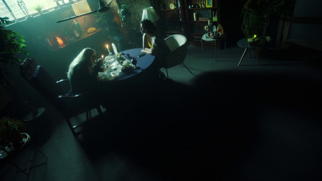 Video Reference: Black, Green, Light, Snapshot, Darkness, Photography, Screenshot, Room, Space, Black hair