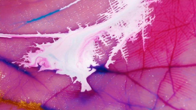 Video Reference: Pink, Purple, Red, Water, Violet, Close-up, Magenta, Graphic design, Macro photography, Graphics