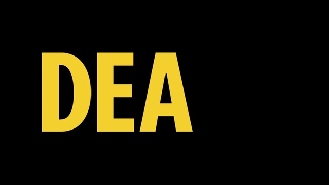 Video Reference: Text, Font, Yellow, Logo, Brand, Graphics, Graphic design