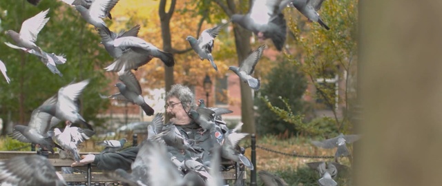 Video Reference: tree, plant, branch, bird, grass