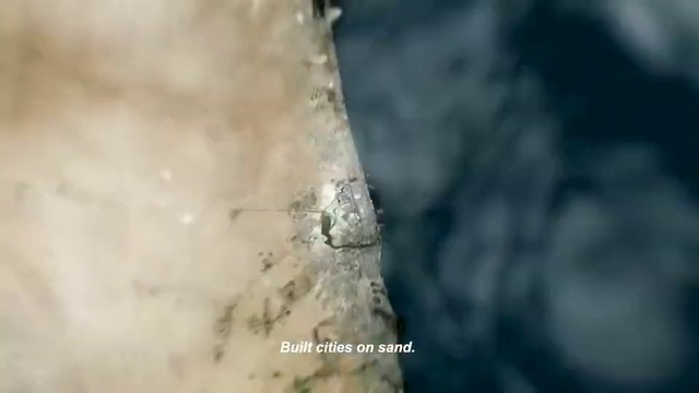 Video Reference: Water, Tree, Space, Trunk