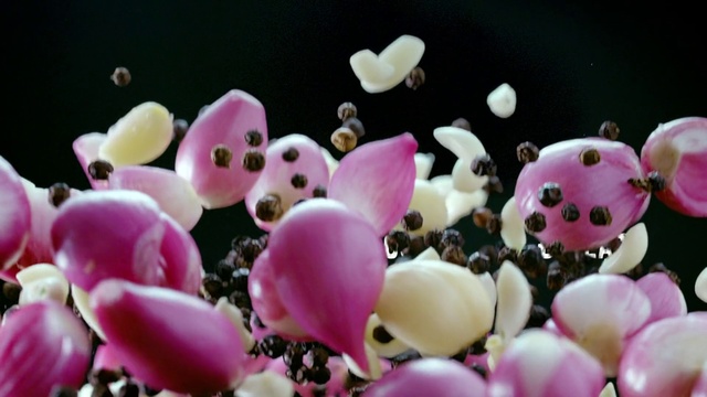 Video Reference: Petal, Pink, Organism, Flower, Plant, Magnolia