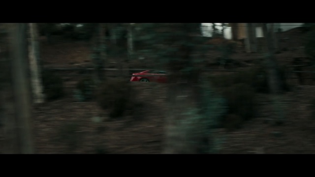 Video Reference: Nature, Natural environment, Tree, Extreme sport, Woodland, Forest, Darkness, Soil, Landscape, Plant