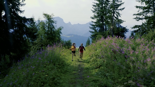 Video Reference: Nature, Natural landscape, Wilderness, Vegetation, Trail, Nature reserve, Natural environment, Biome, Tree, Plant community, Person, Outdoor, Grass, Conifer, Man, Forest, Walking, Field, Green, Standing, Hill, Wooded, Riding, Path, Horse, Frisbee, Holding, Grassy, People, Woman, Young, Playing, Dirt, Tall, Flying, Sky, Mountain, Hiking, Flower, Plant, Lush, Hillside