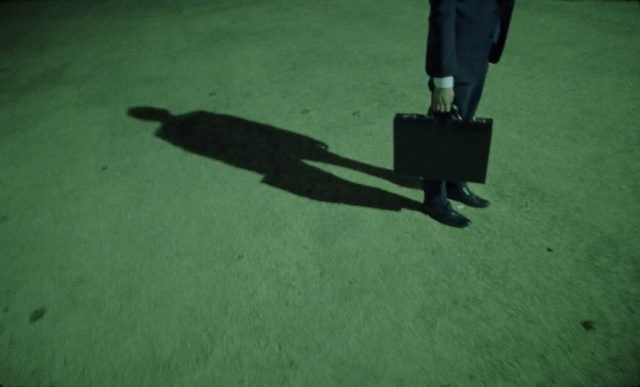 Video Reference: Green, Shadow, Grass, Asphalt, Leg, Floor, Flooring