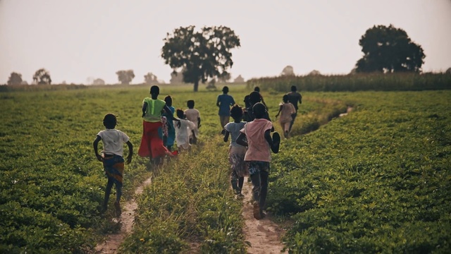 Video Reference: People in nature, Adaptation, Rural area, Crop, Grass family, Field, Farm, Plantation, Soil, Tree