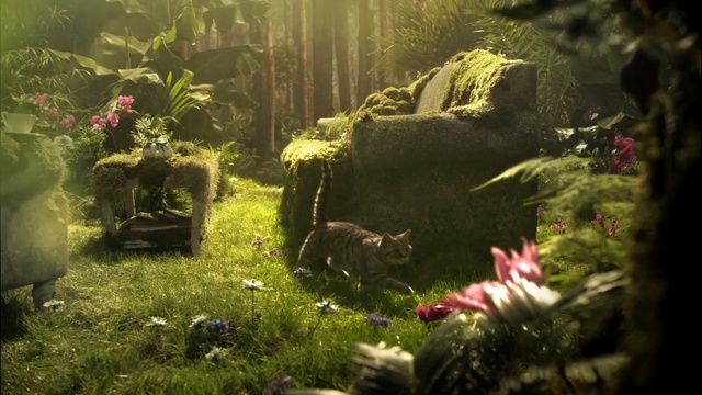 Video Reference: plant, vegetation, freshwater aquarium, grass, aquarium, aquatic plant, landscape, computer wallpaper, non vascular land plant, forest, Person