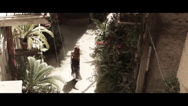 Video Reference: Tree, Plant, Leaf, Organism, Adaptation, Sunlight, Photography, Landscape, Arecales, Art