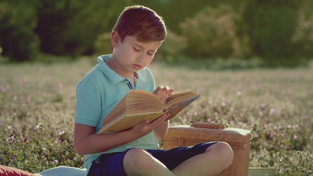 Video Reference: sitting, grass, girl, child, summer, fun, reading, smile, play, vacation, Person