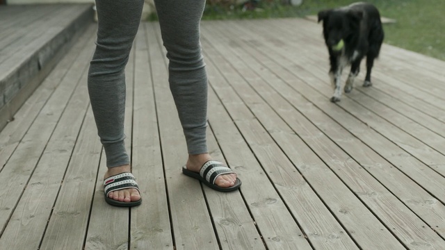 Video Reference: Leg, Footwear, Jeans, Human leg, Floor, Shoe, Walking, Wood, Leash, Sporting Group