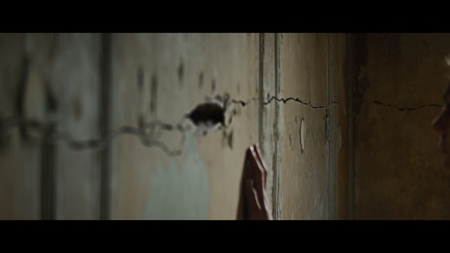 Video Reference: Wall, Darkness, Snapshot, Pest, Photography, Wood, Organism, Art, Visual arts, Still life photography, Person