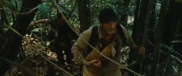 Video Reference: Jungle, Forest, Natural environment, Rainforest, Tree, Adaptation, Old-growth forest, Plant, Woodland, Terrestrial plant