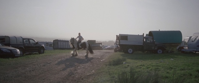 Video Reference: Horse, Mode of transport, Atmospheric phenomenon, Pack animal, Ecoregion, Steppe, Working animal, Landscape, Pasture, Rural area