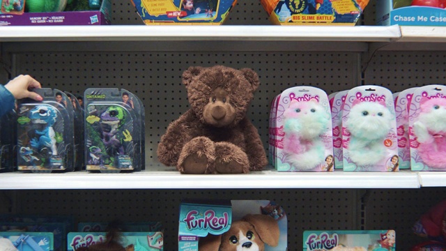 Video Reference: Toy, Teddy bear, Shelf, Bear, Collection, Plush, Stuffed toy, Room, Shelving, Souvenir