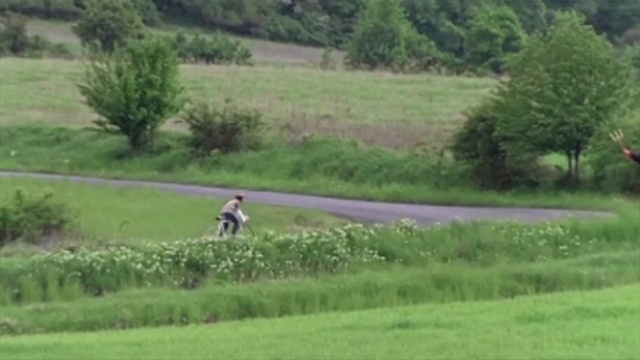 Video Reference: Grassland, Pasture, Meadow, Nature, Land lot, Natural environment, Grass, Rural area, Prairie, Lawn