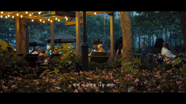 Video Reference: nature, tree, lighting, night, plant, landscape lighting, screenshot, sunlight, darkness, landscape