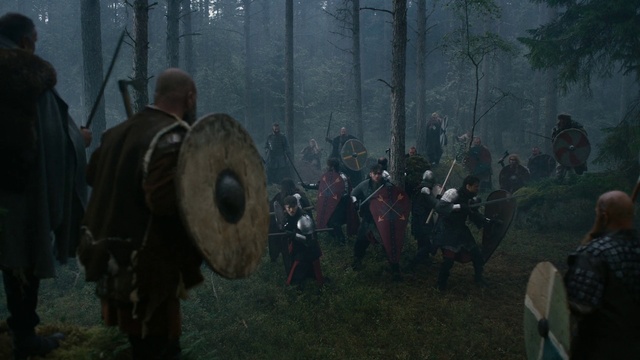 Video Reference: Woodland, Forest