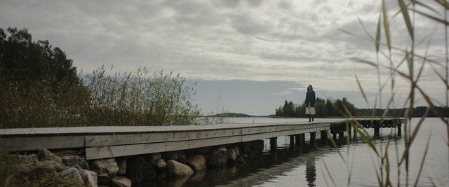 Video Reference: bridge, sky, water, river, cloud, tree, bank, boardwalk, wetland, walkway