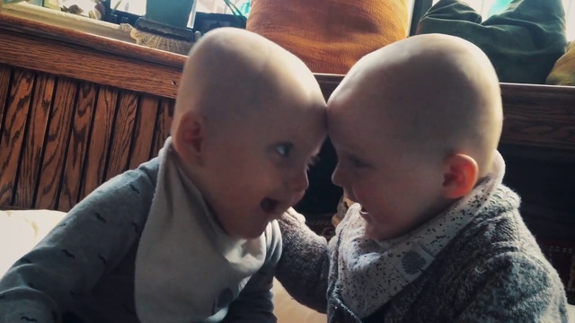 Video Reference: Face, Child, Head, Nose, Cheek, Forehead, Interaction, Baby, Toddler, Love