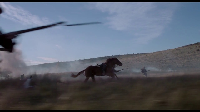 Video Reference: Horse, Ecoregion, Steppe, Stallion, Grassland, Mane, Savanna, Wildlife, Mustang horse, Landscape